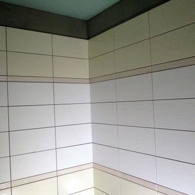 Rekonstrukce Koupelny Plzen El Krasnohorske Foto7