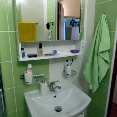 Rekonstrukce Koupelny Plzen Zluticka Foto10