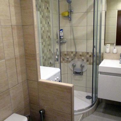 Rekonstrukce Koupelny Plzen Ekrasnohorske Foto5