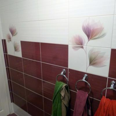Rekonstrukce Koupelny Plzen Sokolovska Foto9