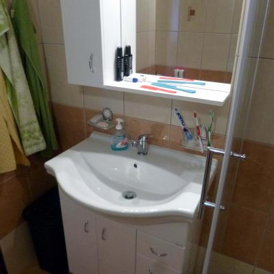 Rekonstrukce Koupelny Plzen Sokolovska Foto21