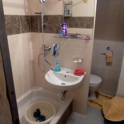 Rekonstrukce Koupelny Plzen Elkrasnohorske Foto8