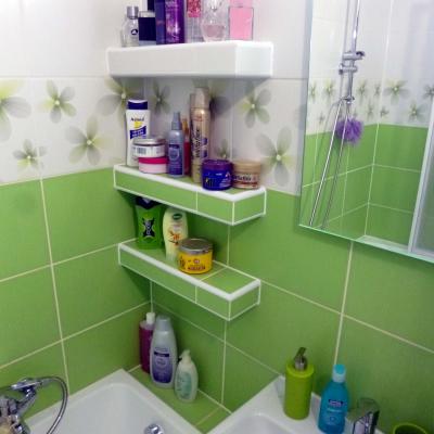 Rekonstrukce Koupelny Plzen Brnenska Foto13